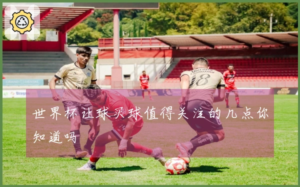 世界杯让球买球值得关注的几点你知道吗