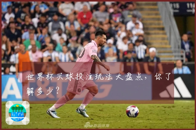 世界杯买球投注玩法大盘点，你了解多少？
