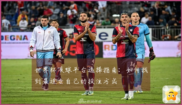 世界杯滚球平台选择指南：如何找到最适合自己的投注方式