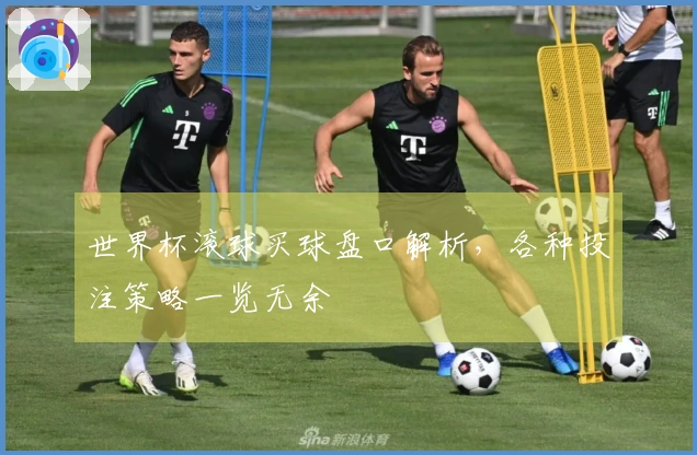 世界杯滚球买球盘口解析，各种投注策略一览无余