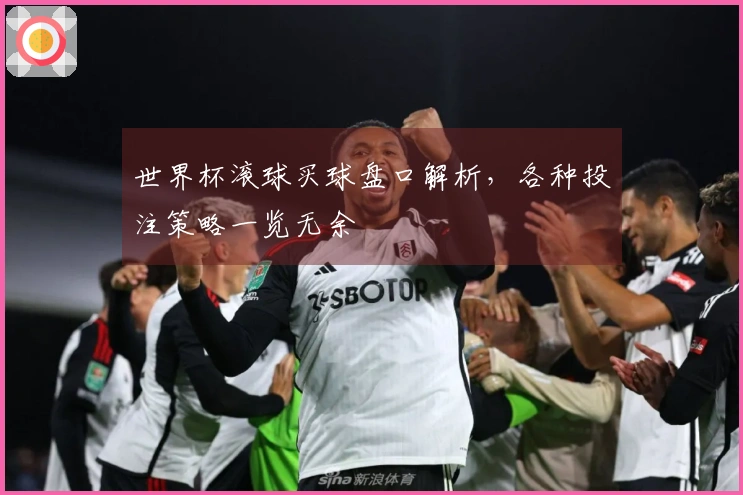 世界杯滚球买球盘口解析，各种投注策略一览无余