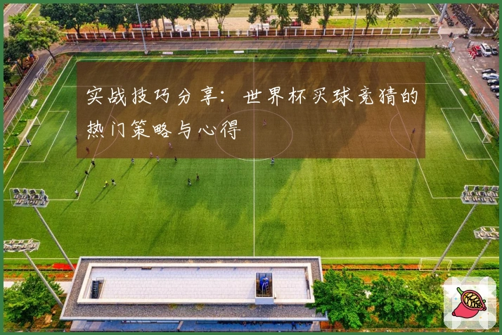 实战技巧分享：世界杯买球竞猜的热门策略与心得