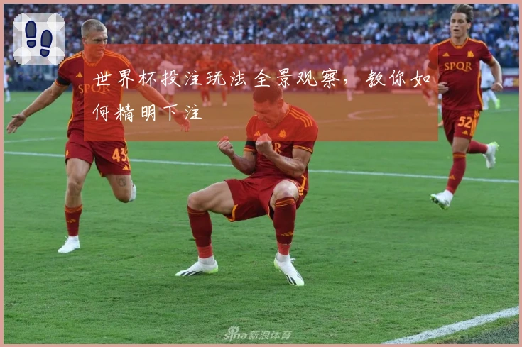 世界杯投注玩法全景观察，教你如何精明下注