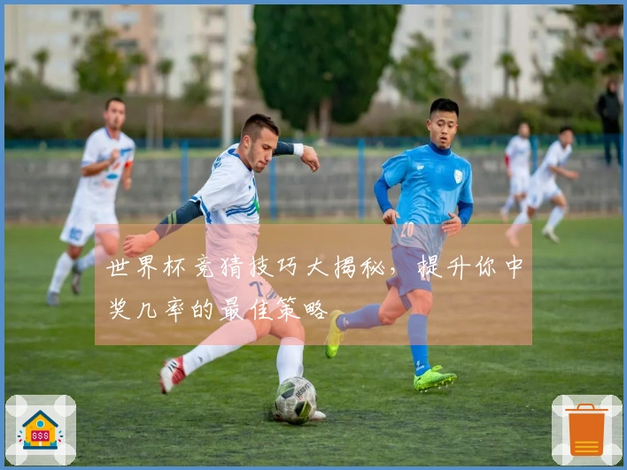 世界杯竞猜技巧大揭秘，提升你中奖几率的最佳策略