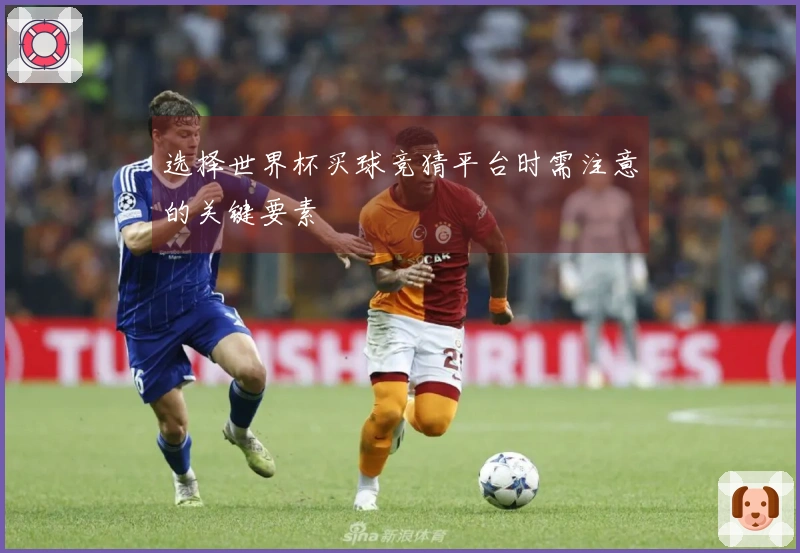 选择世界杯买球竞猜平台时需注意的关键要素