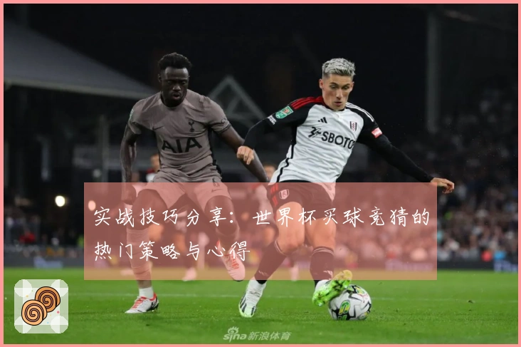 实战技巧分享：世界杯买球竞猜的热门策略与心得