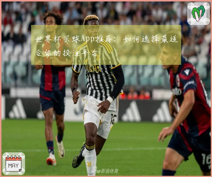 世界杯买球App推荐：如何选择最适合你的投注平台